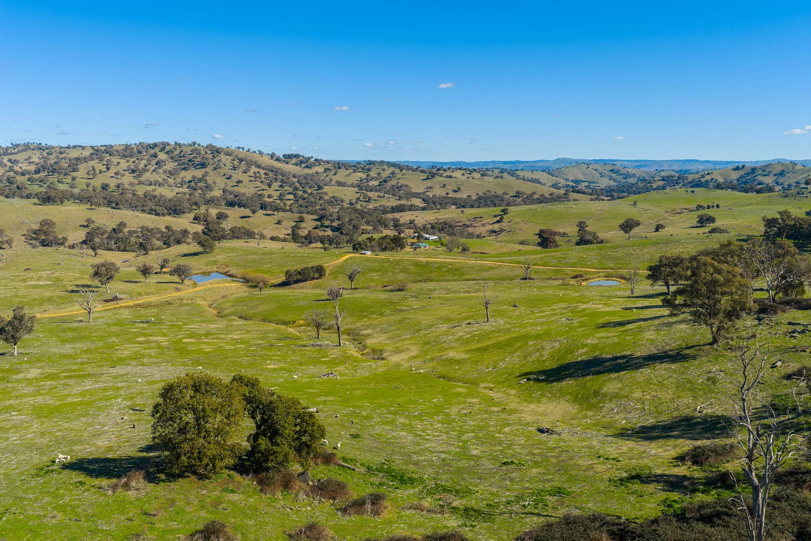 Additional image 11 of 334 Lucky Swamp Road, Crooked Corner NSW 2583