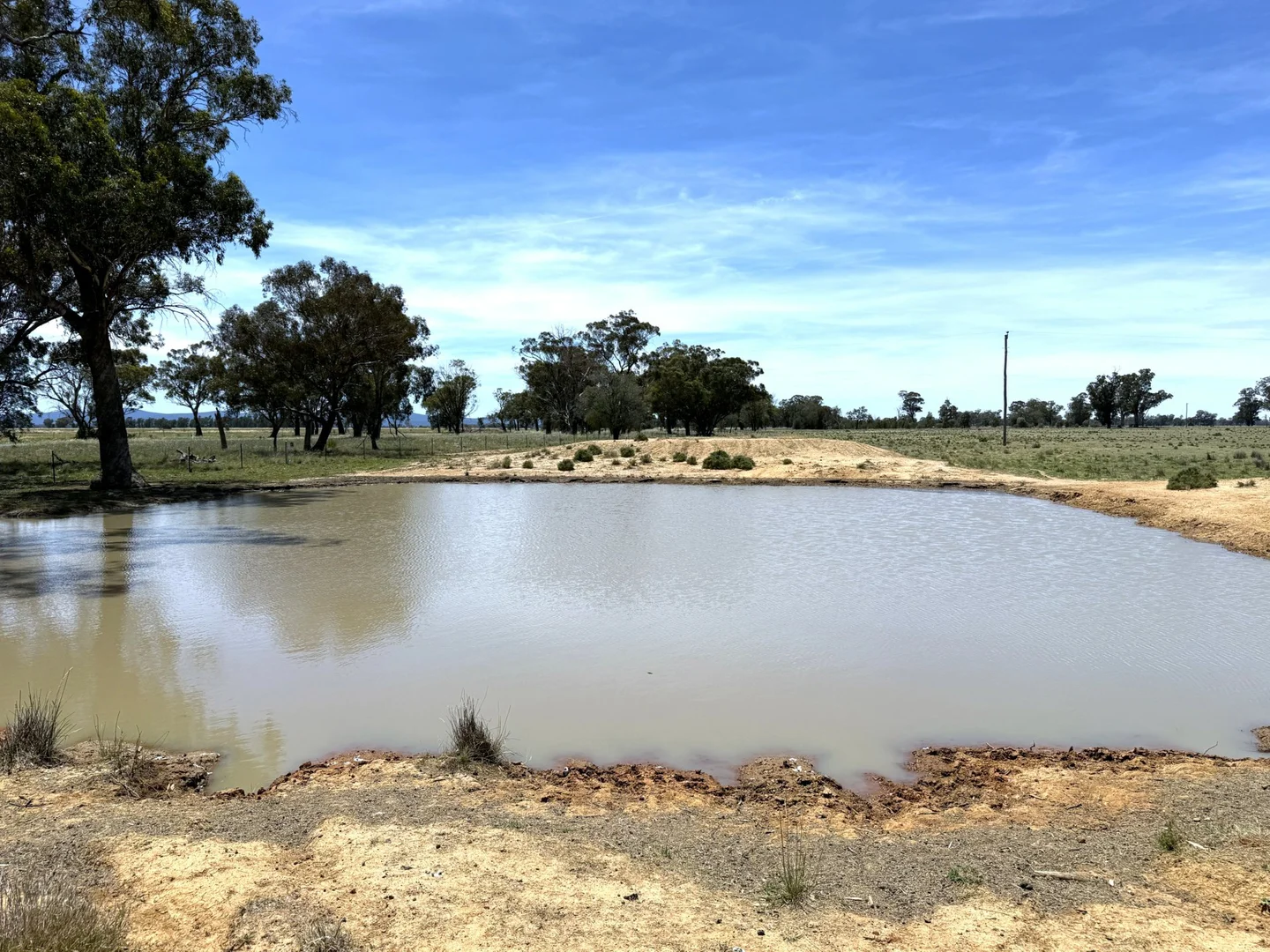 Additional image 7 of 1539 Bland Road, Quandialla NSW 2721