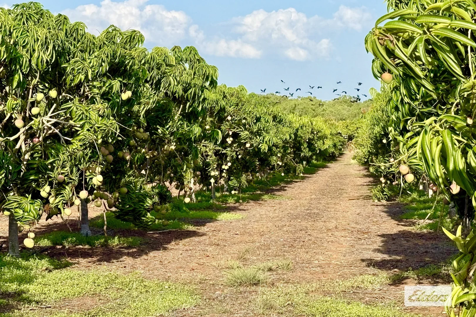 Additional image 24 of 80 & 100 Russ Road, Tumbling Waters NT 0822