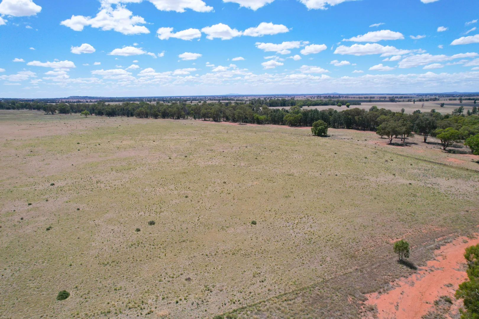 Additional image 38 of 357 Calleen Lane, West Wyalong NSW 2671
