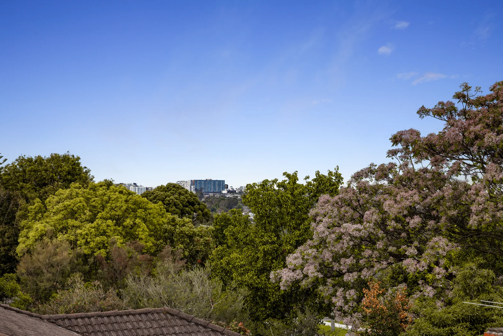 Additional image 14 of 4/30 Strabane Avenue, Mont Albert North VIC 3129