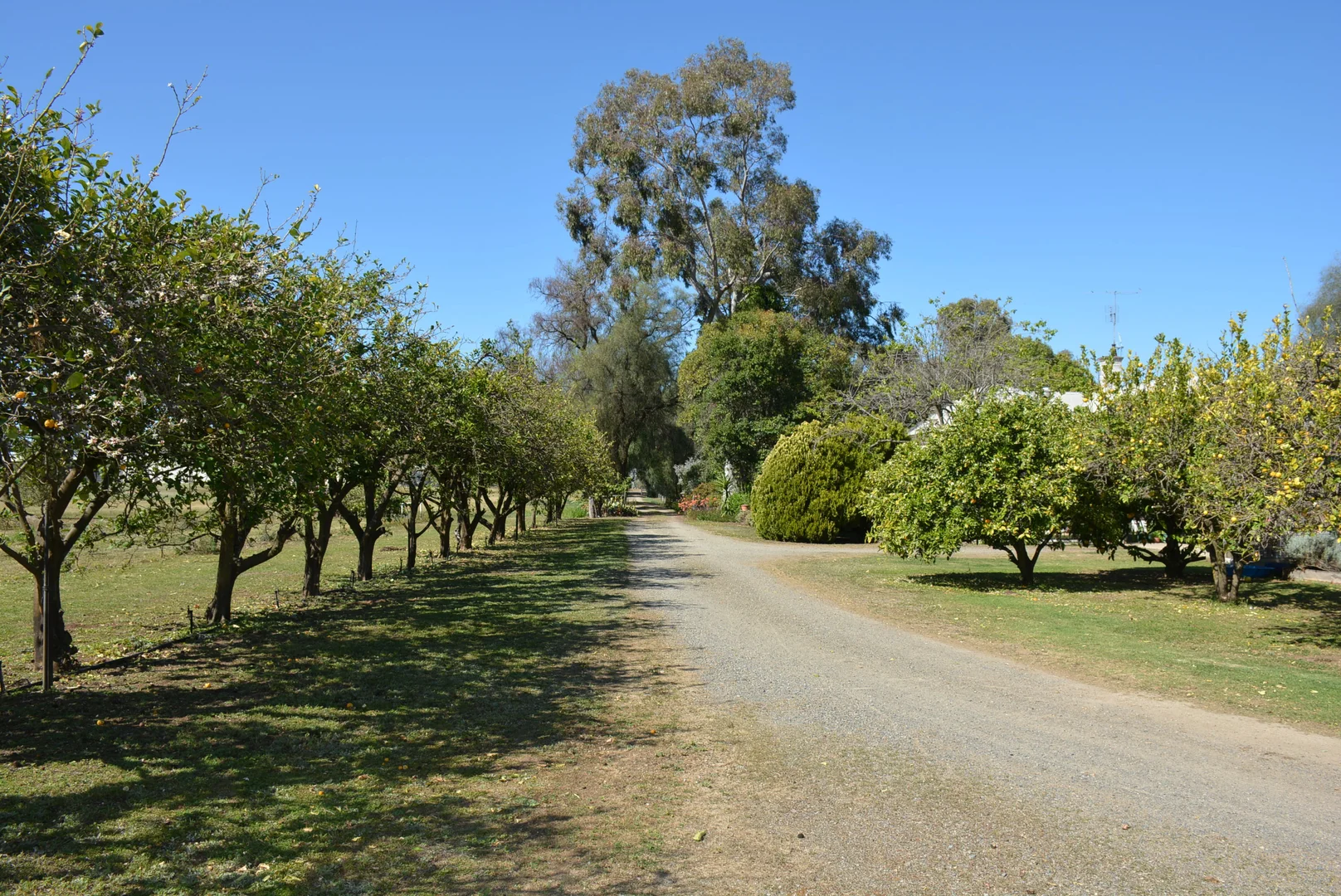 Additional image 9 of 102 Karook St, Cobram VIC 3644