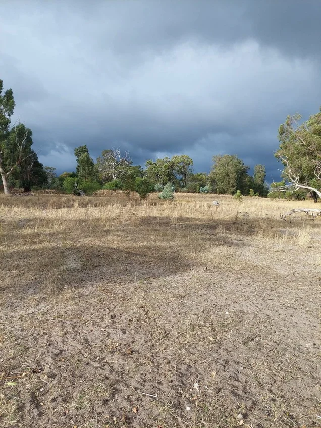 Additional image 13 of Lot 9003 Barrington Knight Road, Yarloop WA 6218