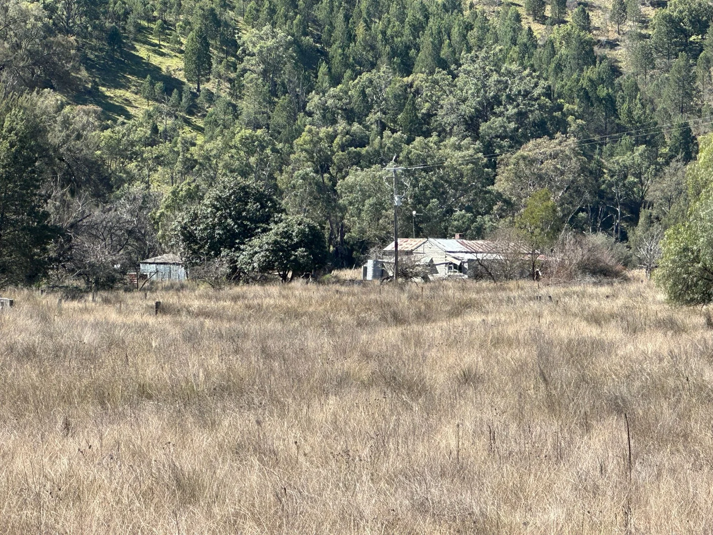 Additional image 14 of 2991 Halls Creek Road, Halls Creek NSW 2346