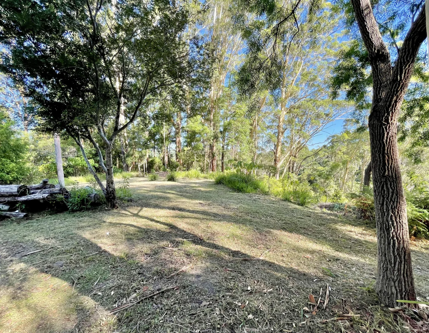 Additional image 20 of 76 Maso Road, Repentance Creek NSW 2480