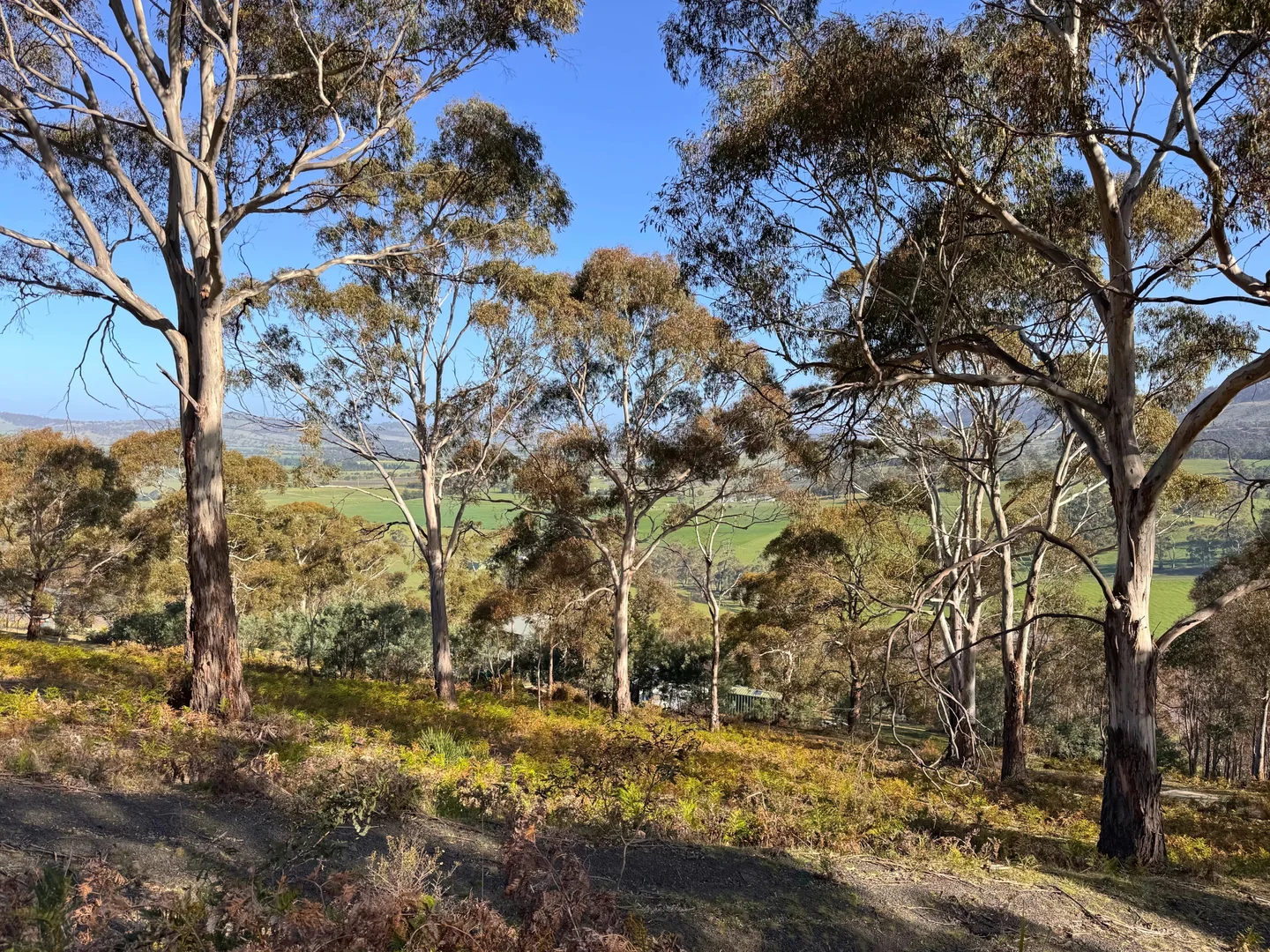 Additional image 2 of 26 Kandara Court, Campania TAS 7026