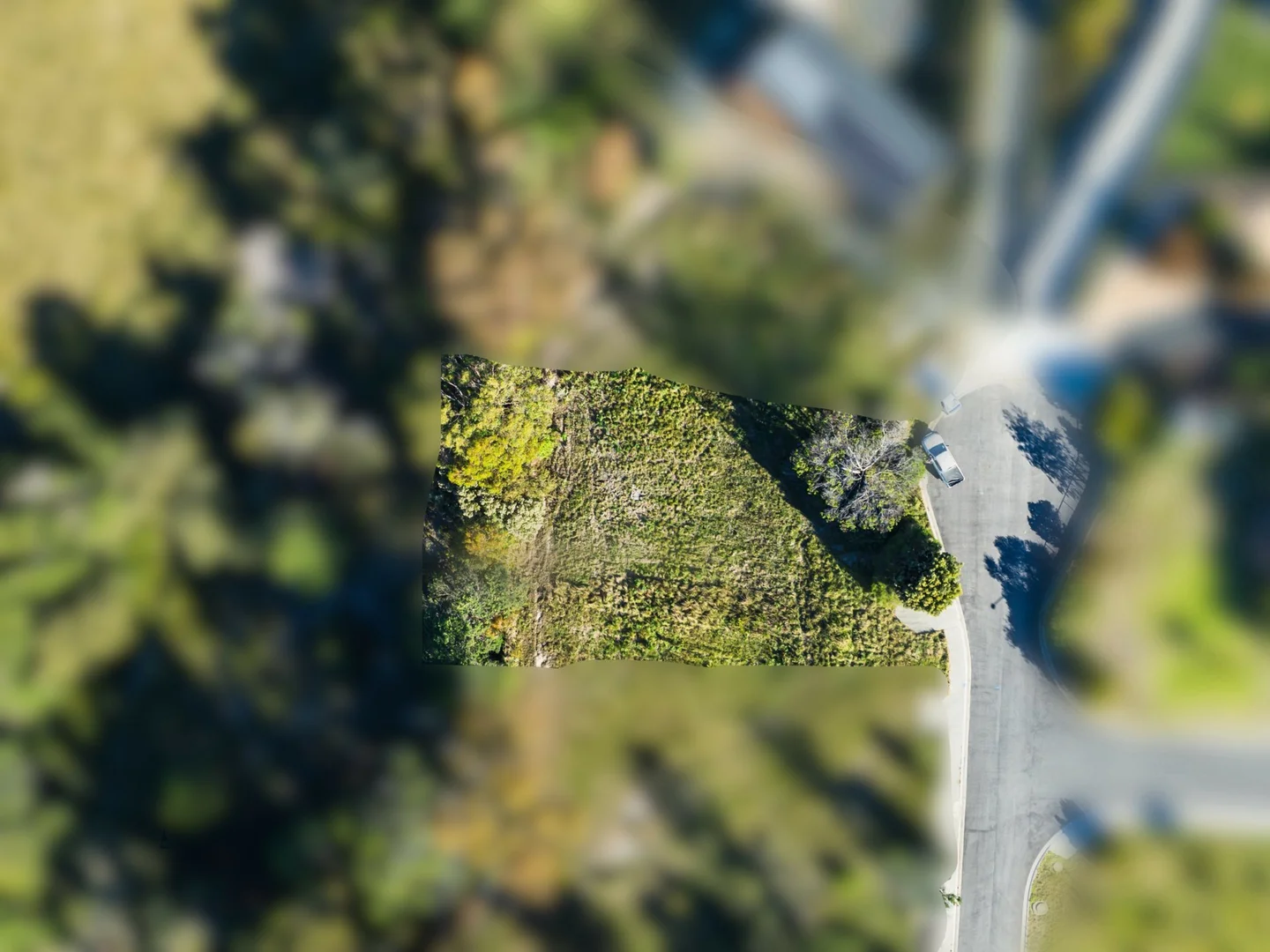 Additional image 2 of 17 Bayvista Rise, St Helens TAS 7216