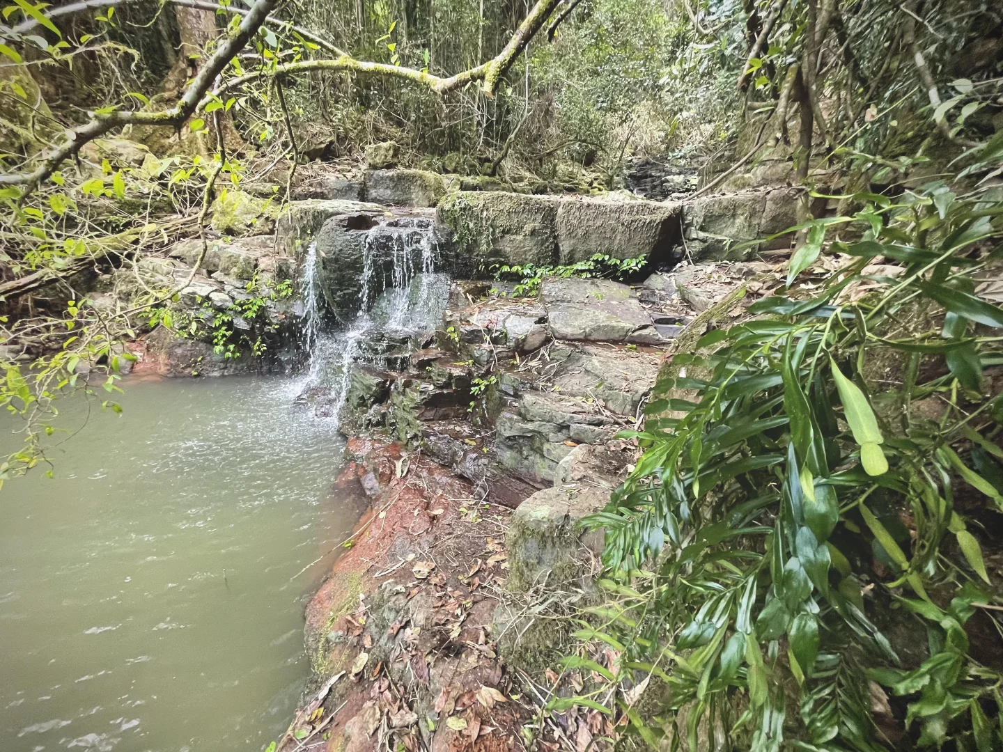 Additional image 21 of 76 Maso Road, Repentance Creek NSW 2480