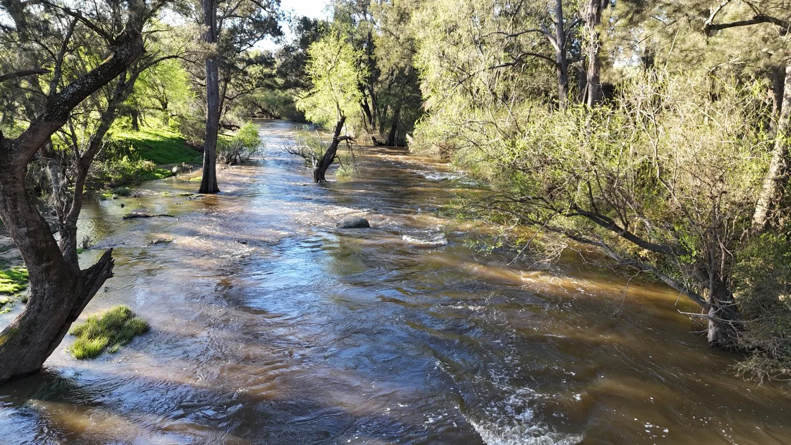 Additional image 32 of "Bonna"  1 Haidee Street, Bendemeer NSW 2355