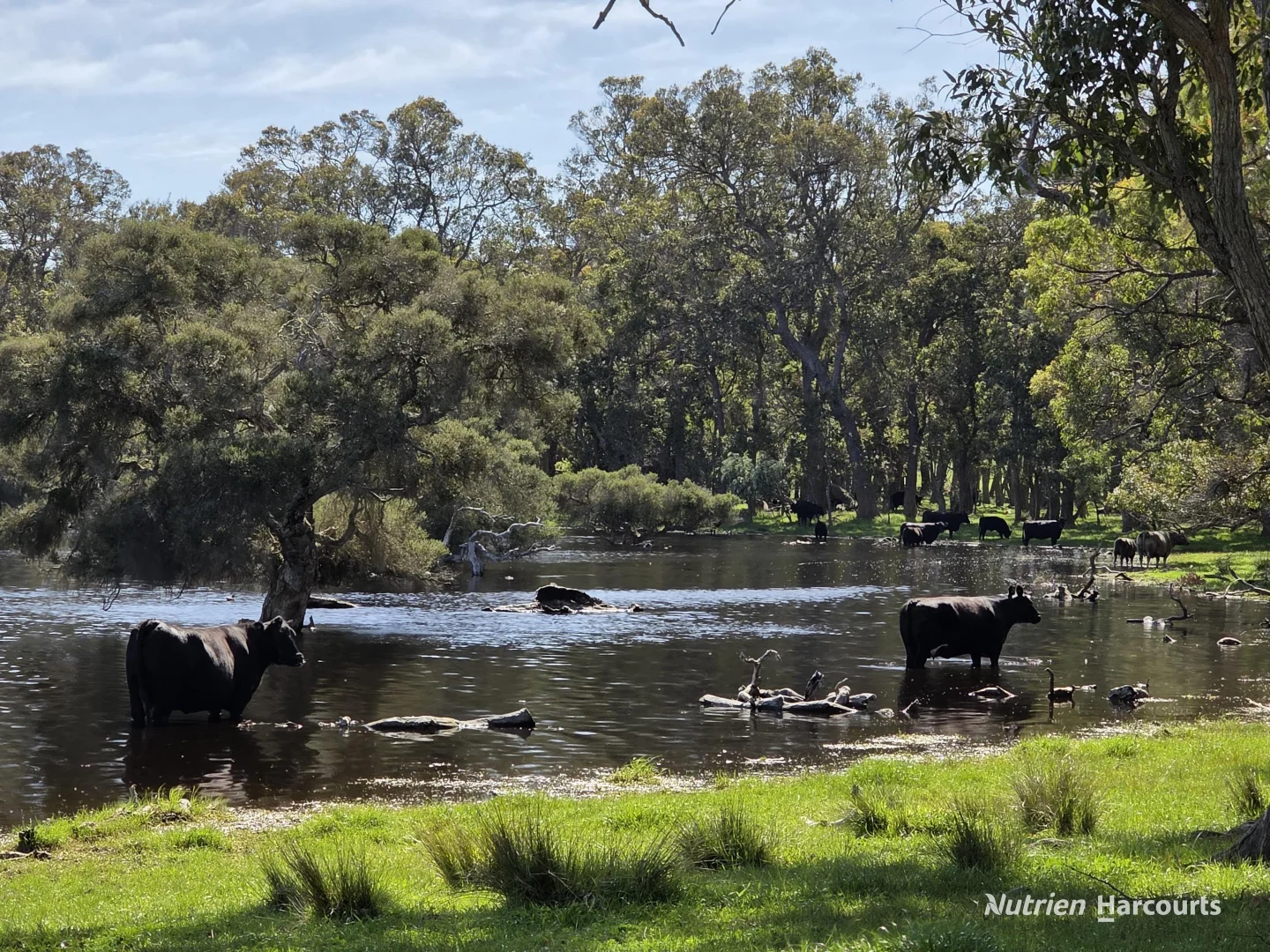 Additional image 3 of 1867 Chester Pass Road, Napier WA 6330