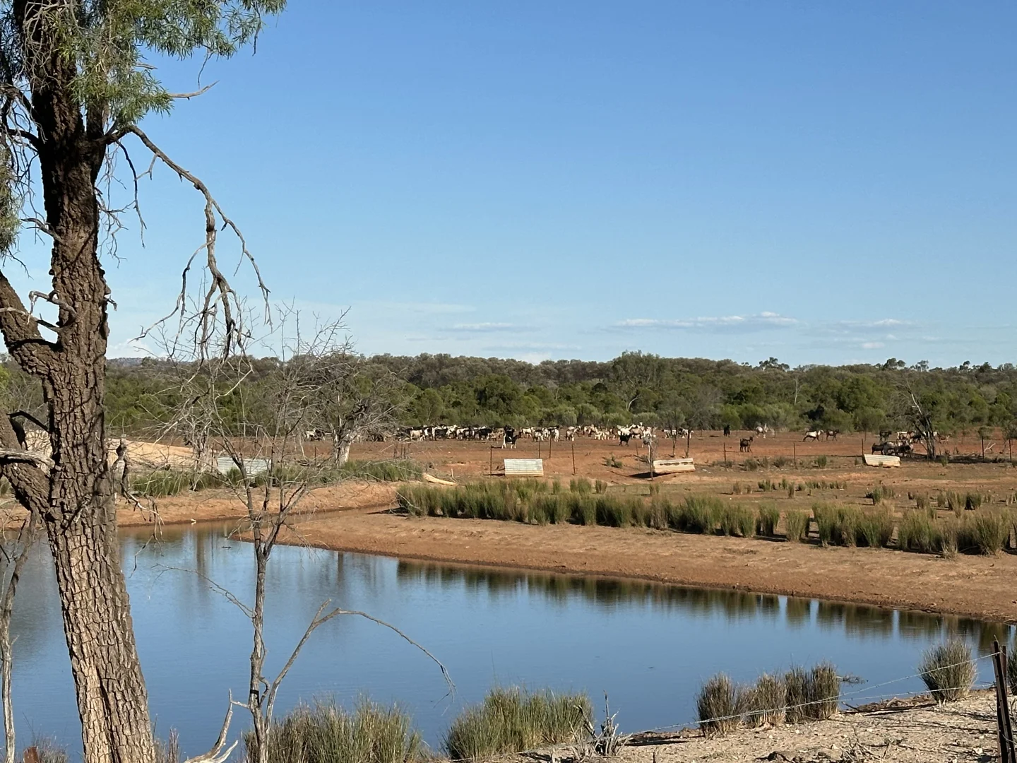 Additional image 17 of 1 Ben Lomond Road, Gunderbooka NSW 2840