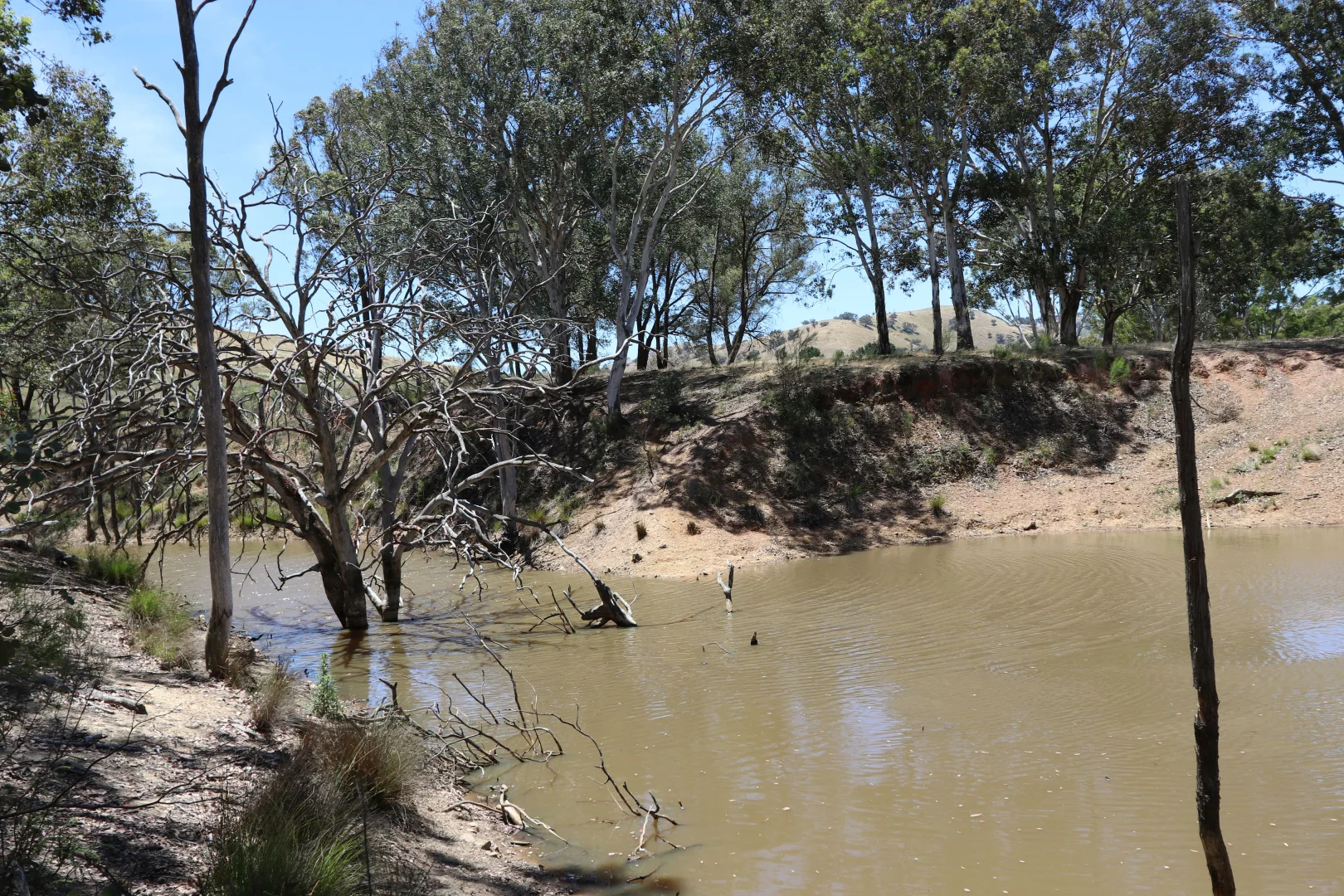 Additional image 23 of 222 Battery Crossing Road, Reids Flat NSW 2586