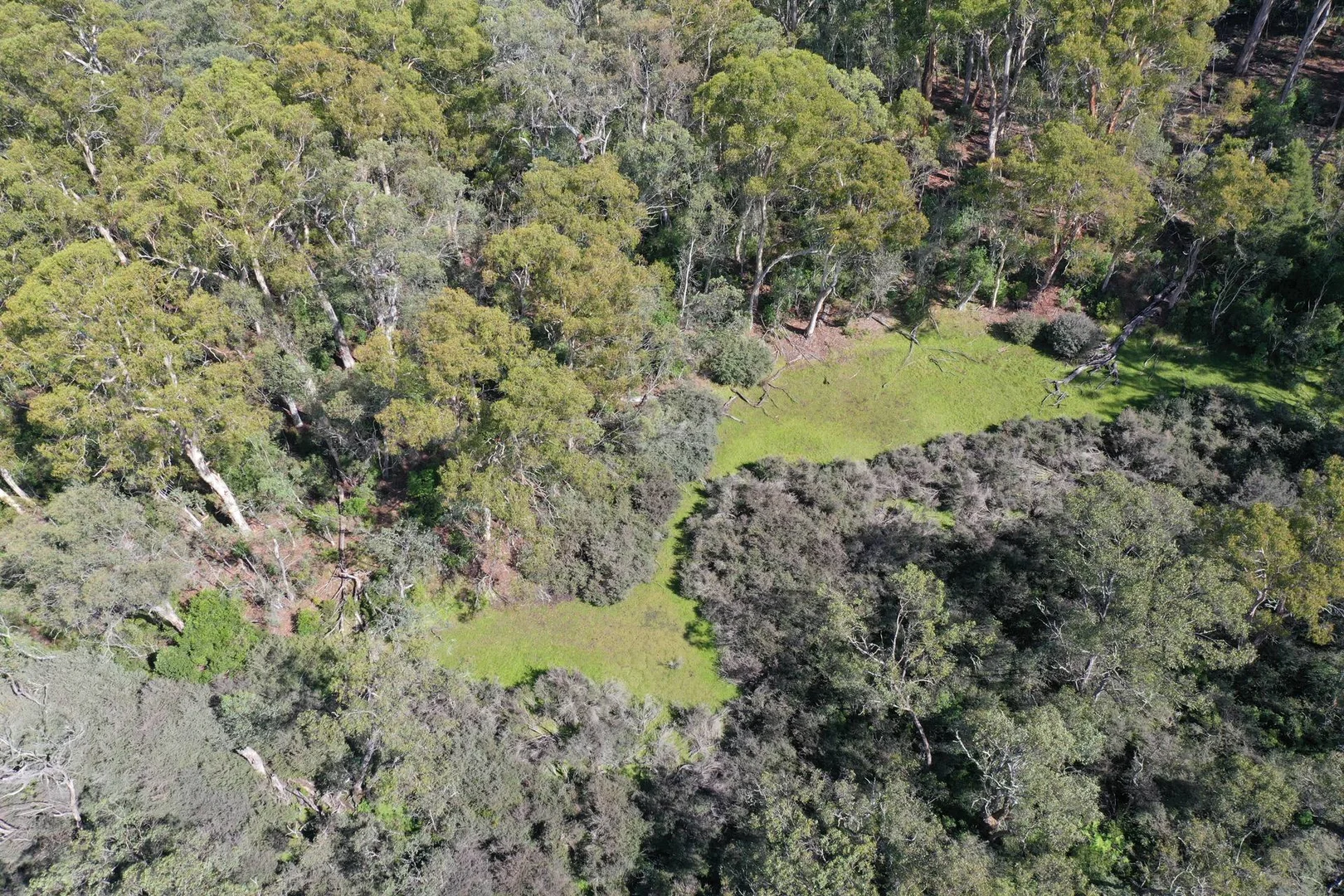 Additional image 13 of 710 Old Bendoc Bonang Road, Bendoc VIC 3888