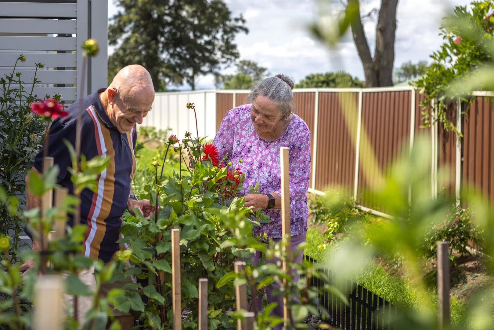 Additional image 5 of 2 Taipan Terrace, Nowra NSW 2541