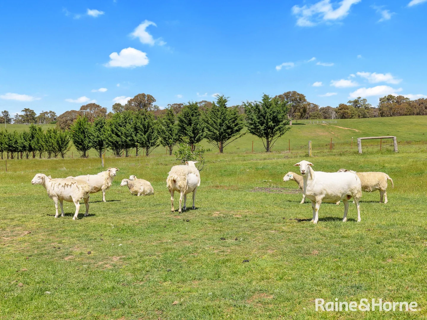 Additional image 22 of 4144 Trunkey Road, Bathurst NSW 2795