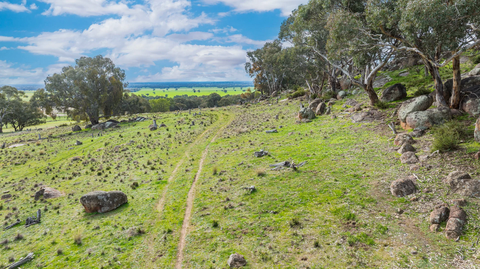 Additional image 8 of Rocky Creek Road, Springhurst VIC 3682