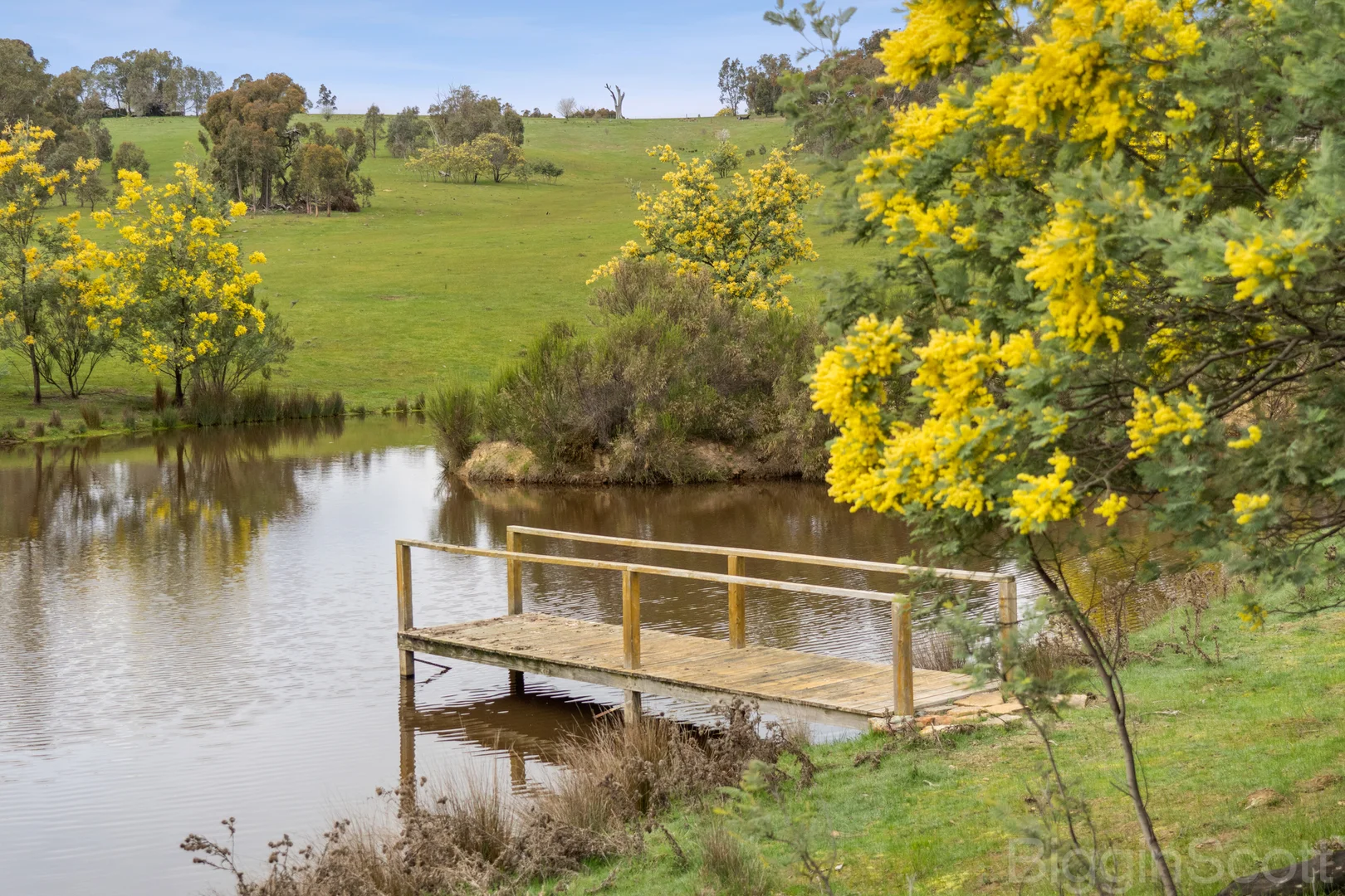 Additional image 18 of 595 Providence Gully Road, Yandoit Hills VIC 3461