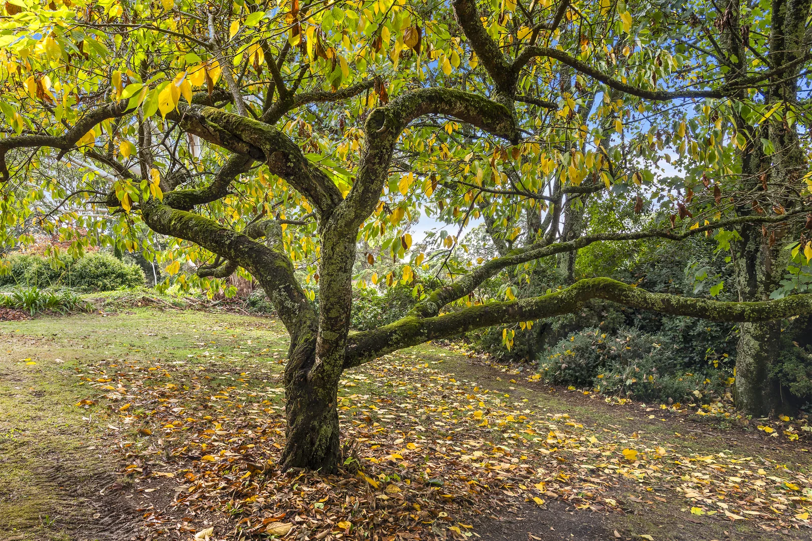 Additional image 12 of 131 Shannons Lane, Kerrie VIC 3434