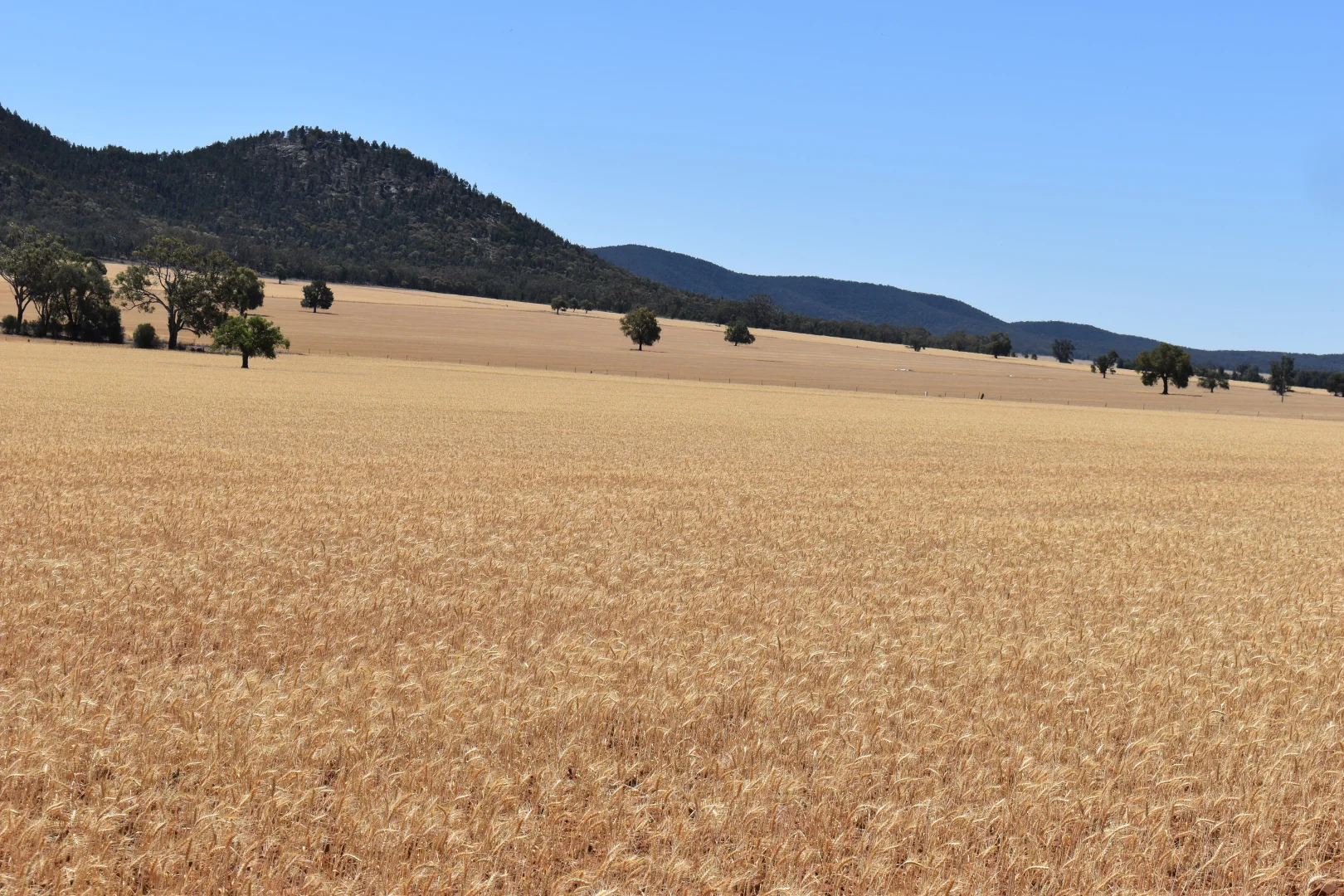 Additional image 19 of 120 Ganantagi Road, Yarrabandai NSW 2875