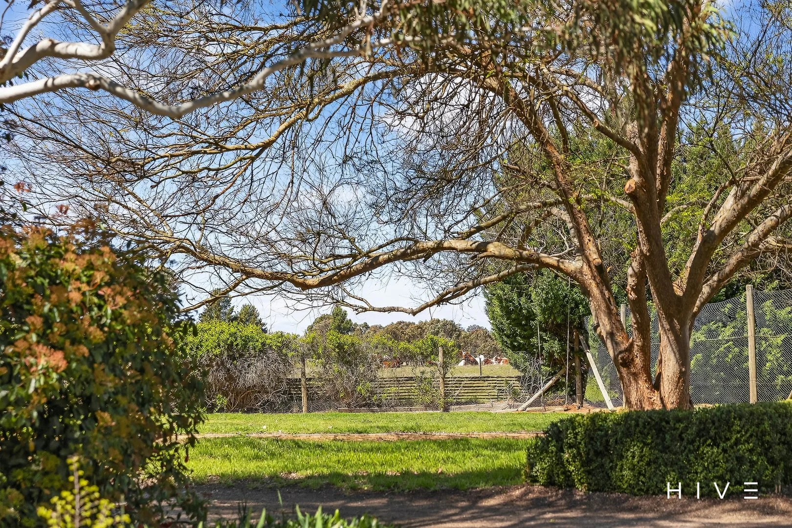 Additional image 26 of 31 David Street, Gundaroo NSW 2620