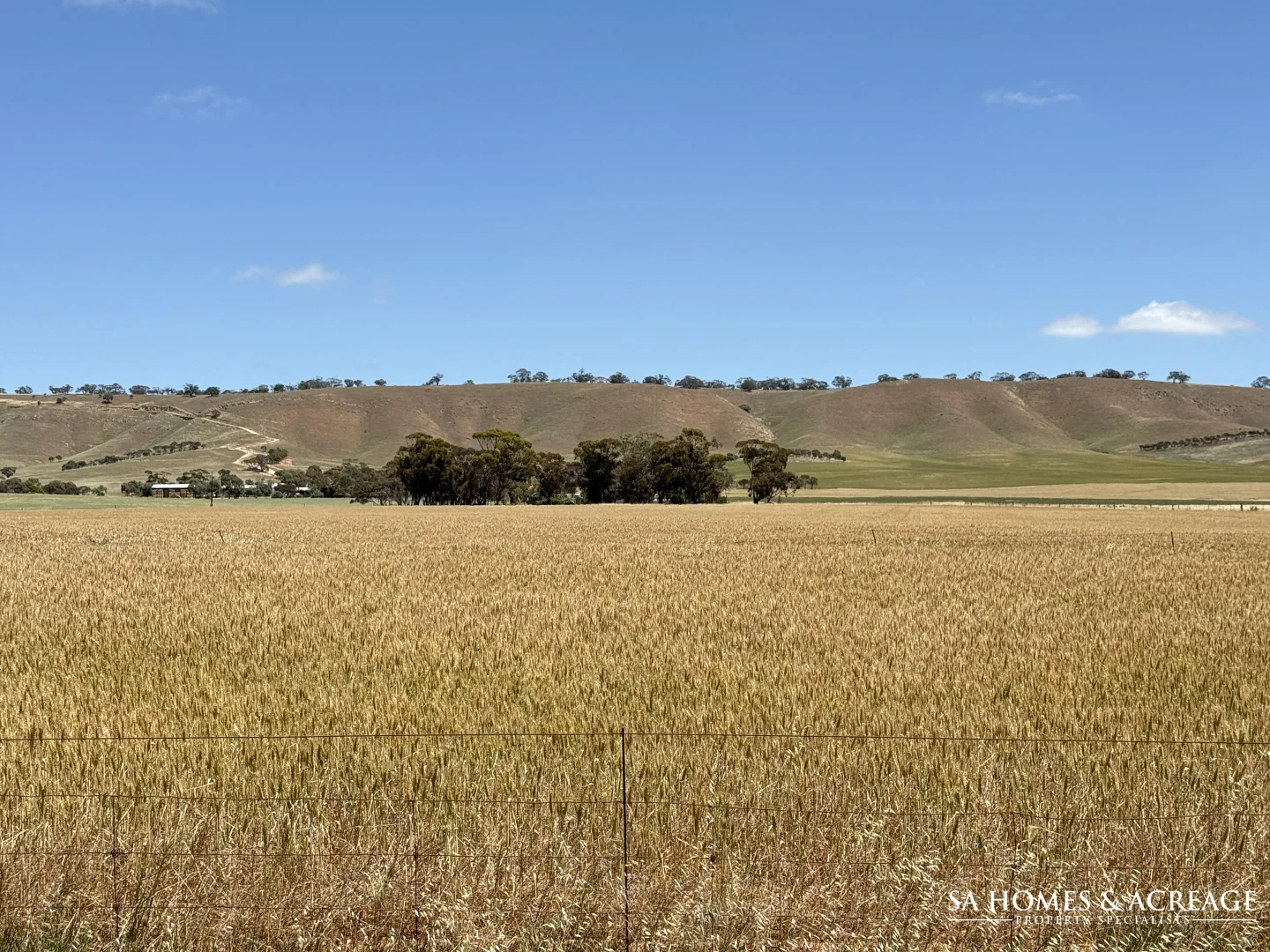 Additional image 6 of Section 407 & 408 Hills Road, Robertstown SA 5381