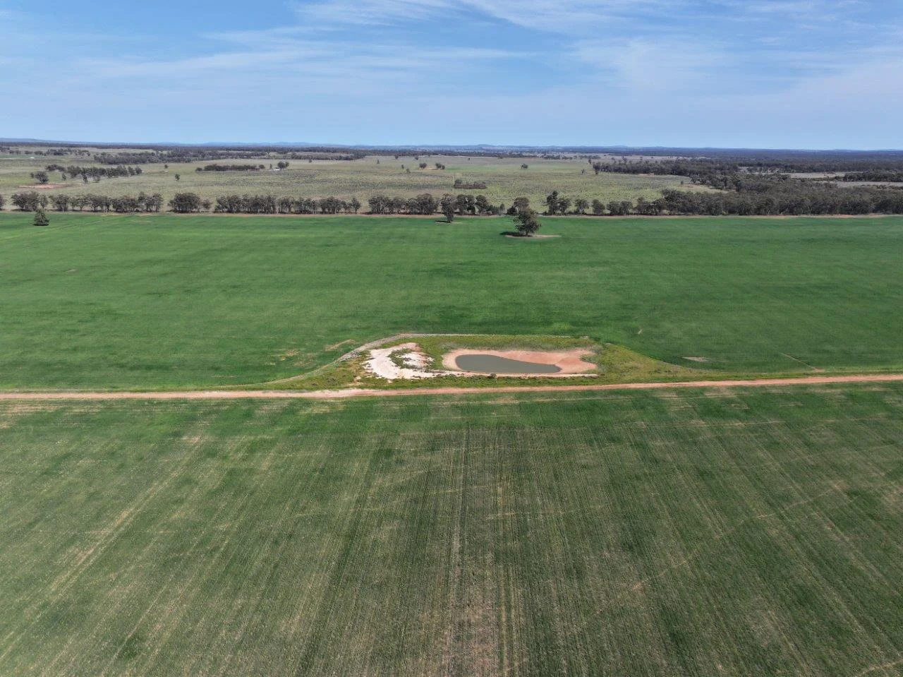 Additional image 5 of 'Dundee', 122 Winters Lane, West Wyalong NSW 2671