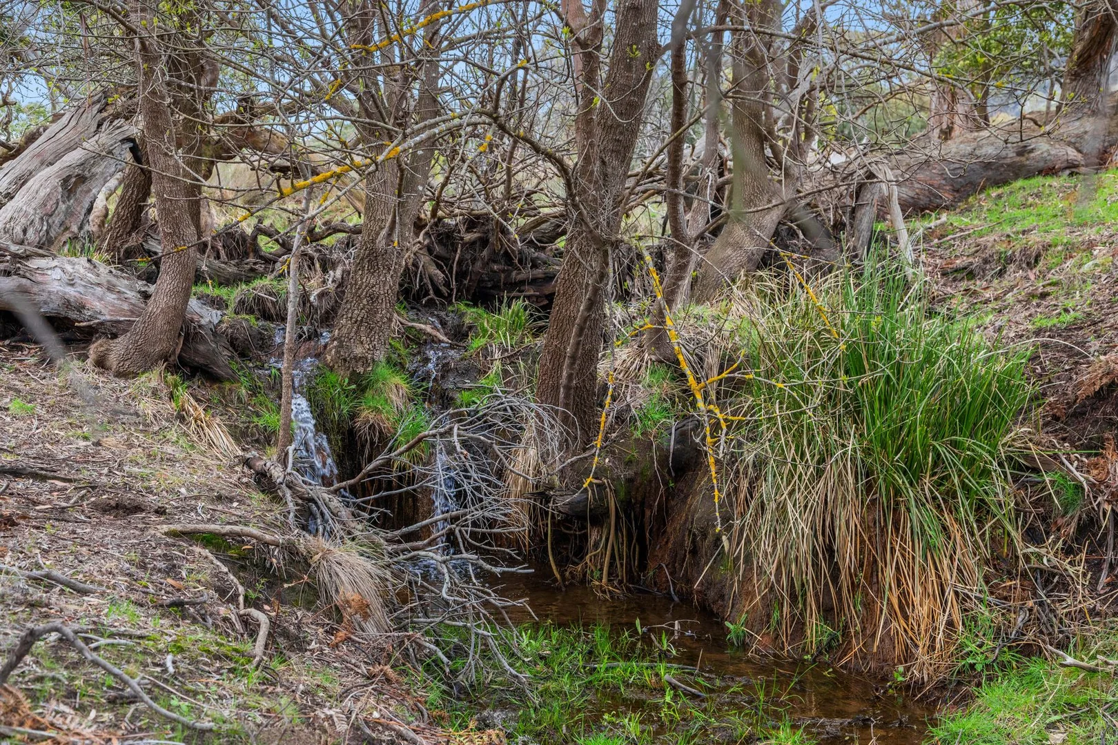 Additional image 13 of 335 Tooborac-Baynton Road, Tooborac VIC 3522