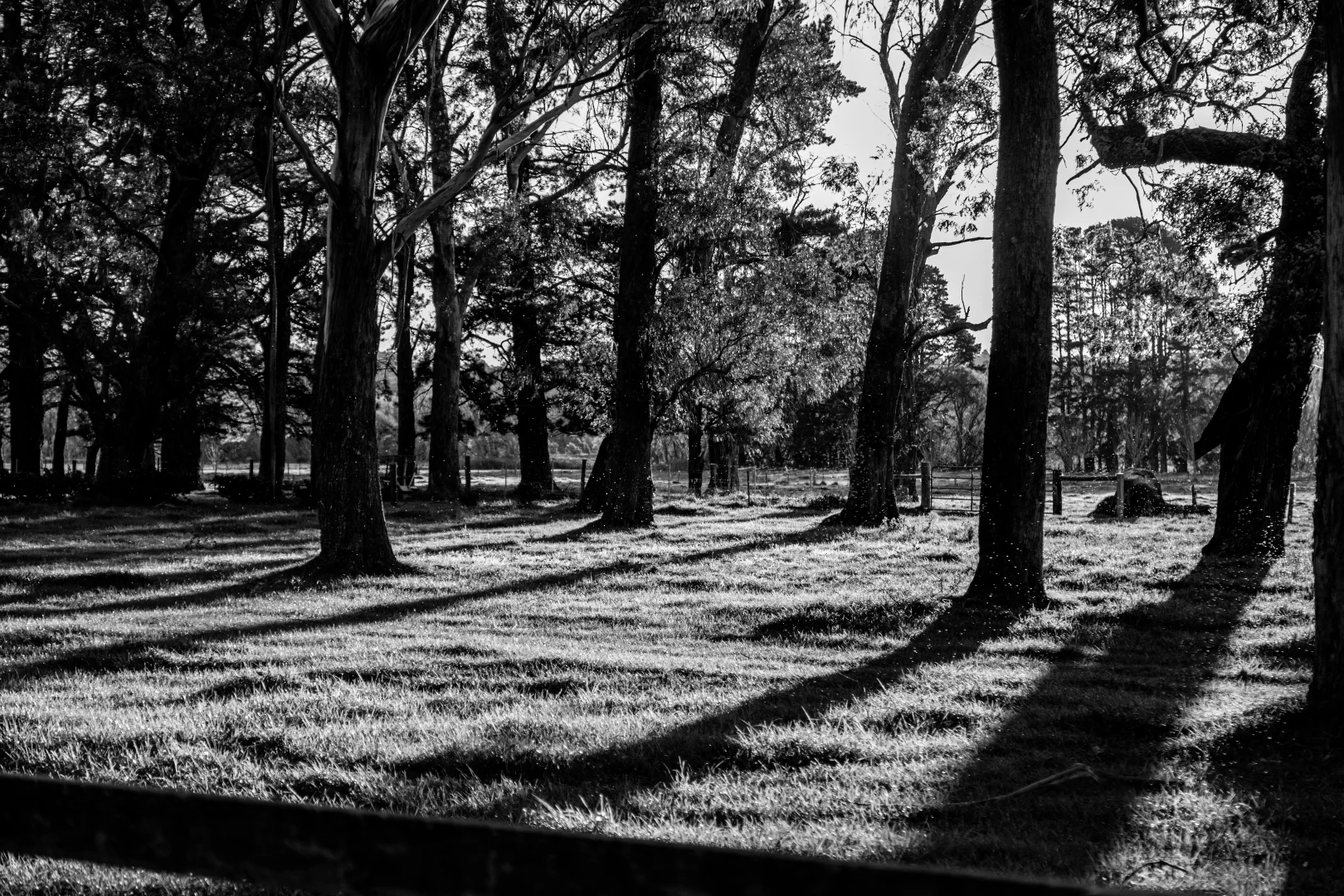 Additional image 56 of 50 Blencowes Lane, Wildes Meadow NSW 2577