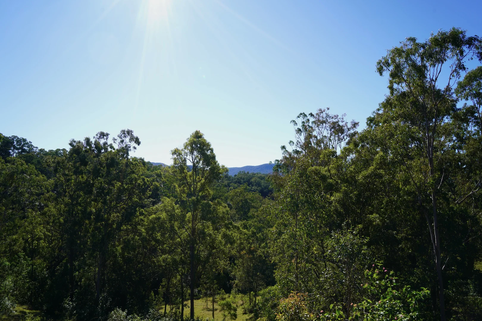 Additional image 27 of 2425 Pine Creek Road, Kyogle NSW 2474