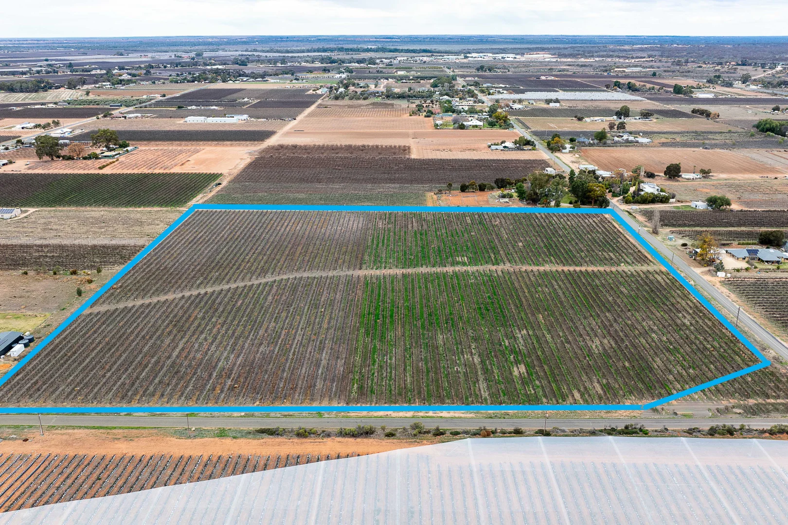 Additional image 5 of Lot 453 Chowilla Street, Renmark SA 5341