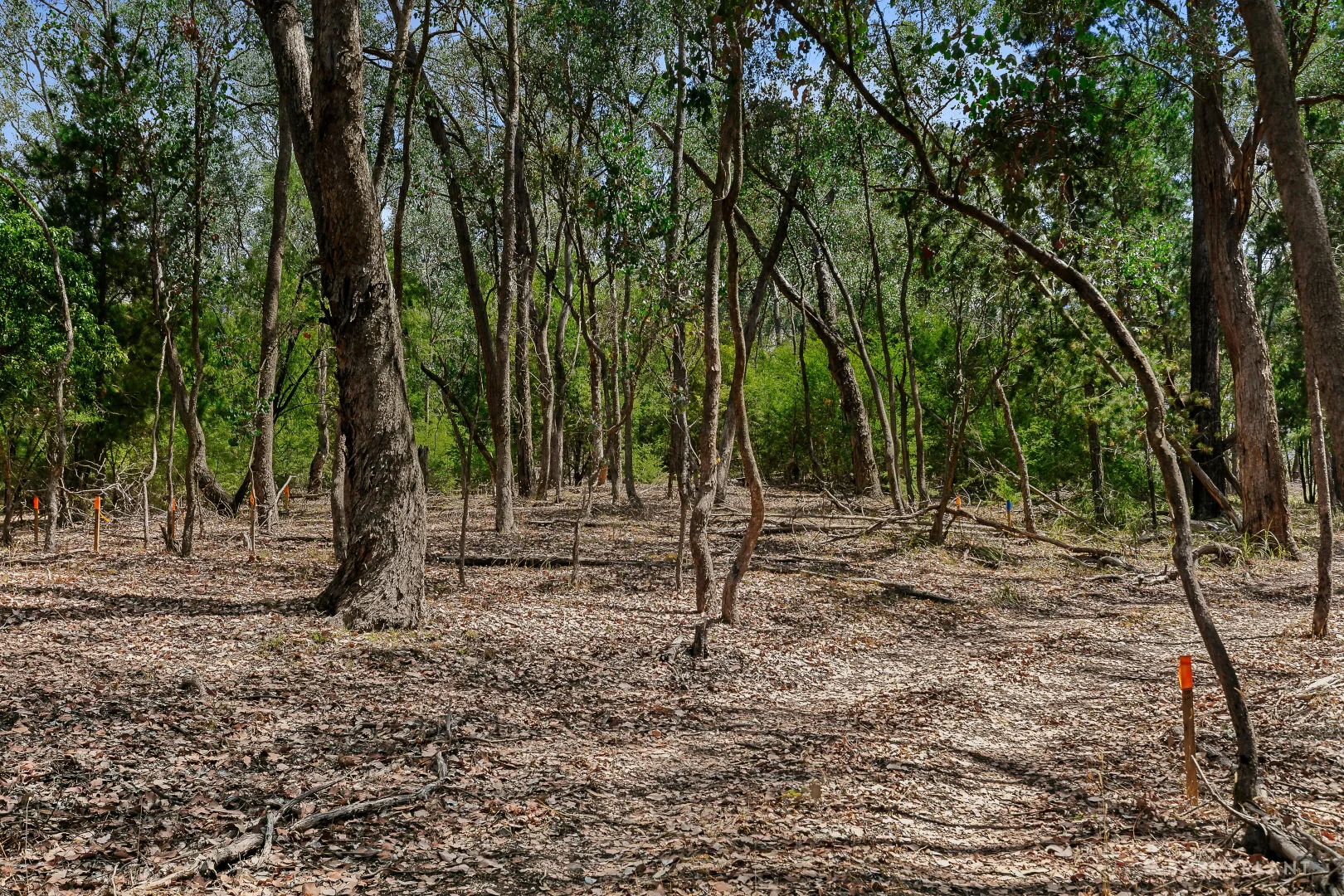 Additional image 4 of 12 Valley Road, Wonga Park VIC 3115