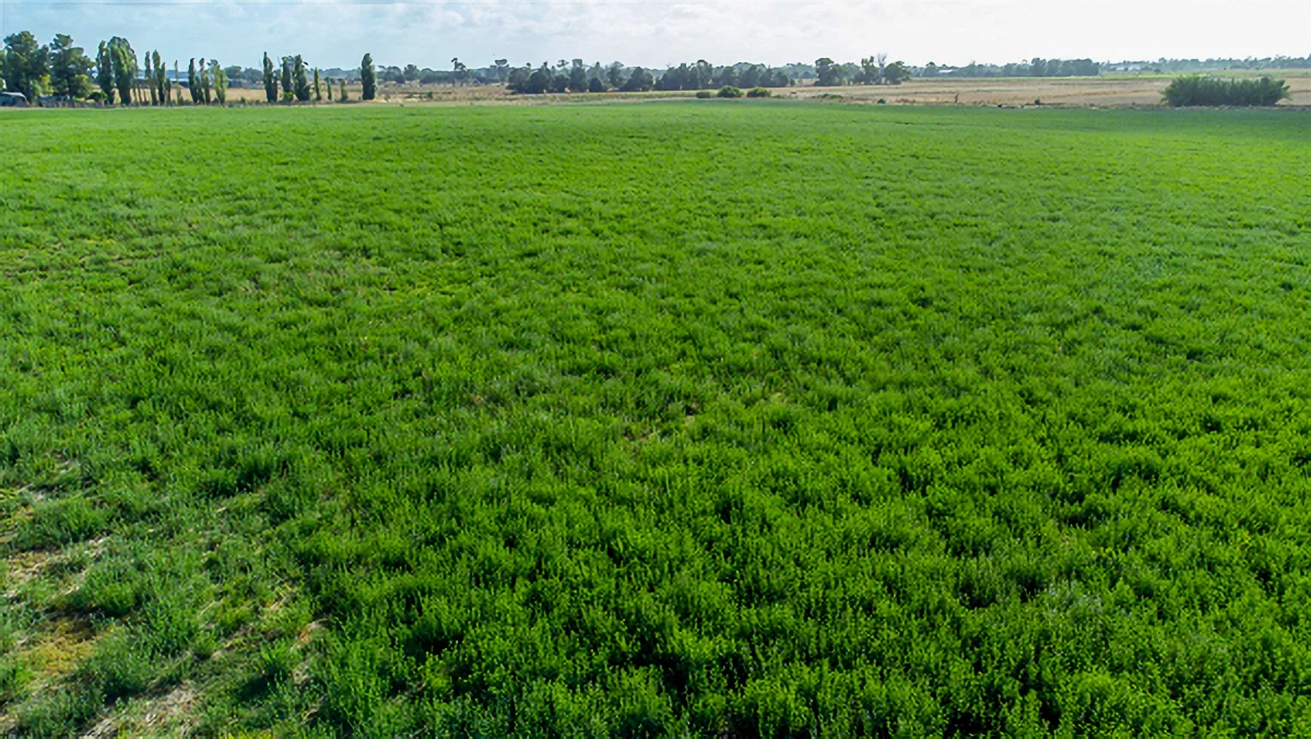 Additional image 14 of 1061 McEwen Road, Kyabram VIC 3620