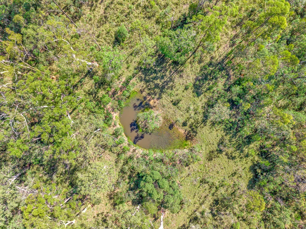 Additional image 9 of 136 Browns Road, Halfway Creek NSW 2460