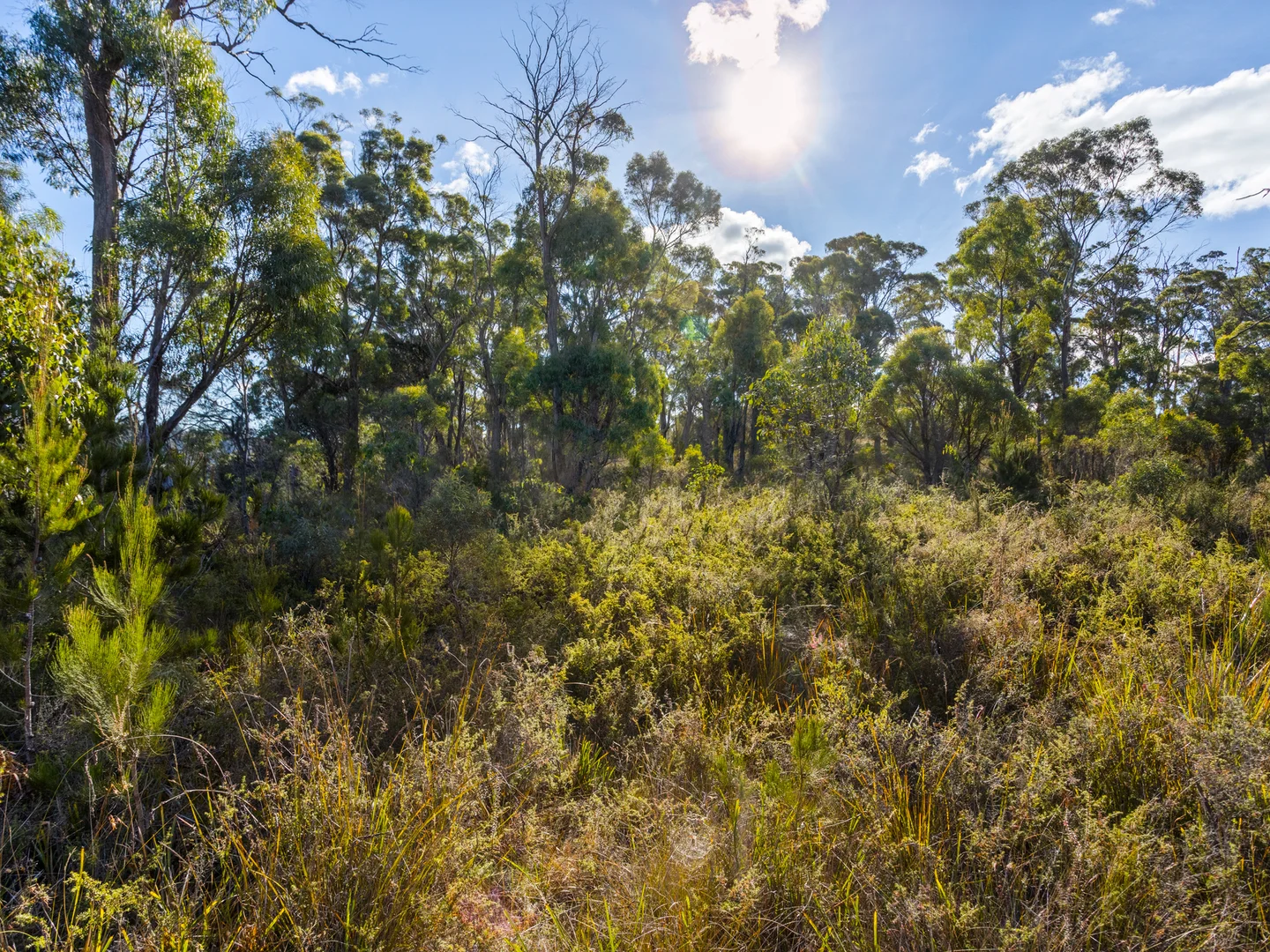 Additional image 27 of 4017 Arthur Highway, Murdunna TAS 7178