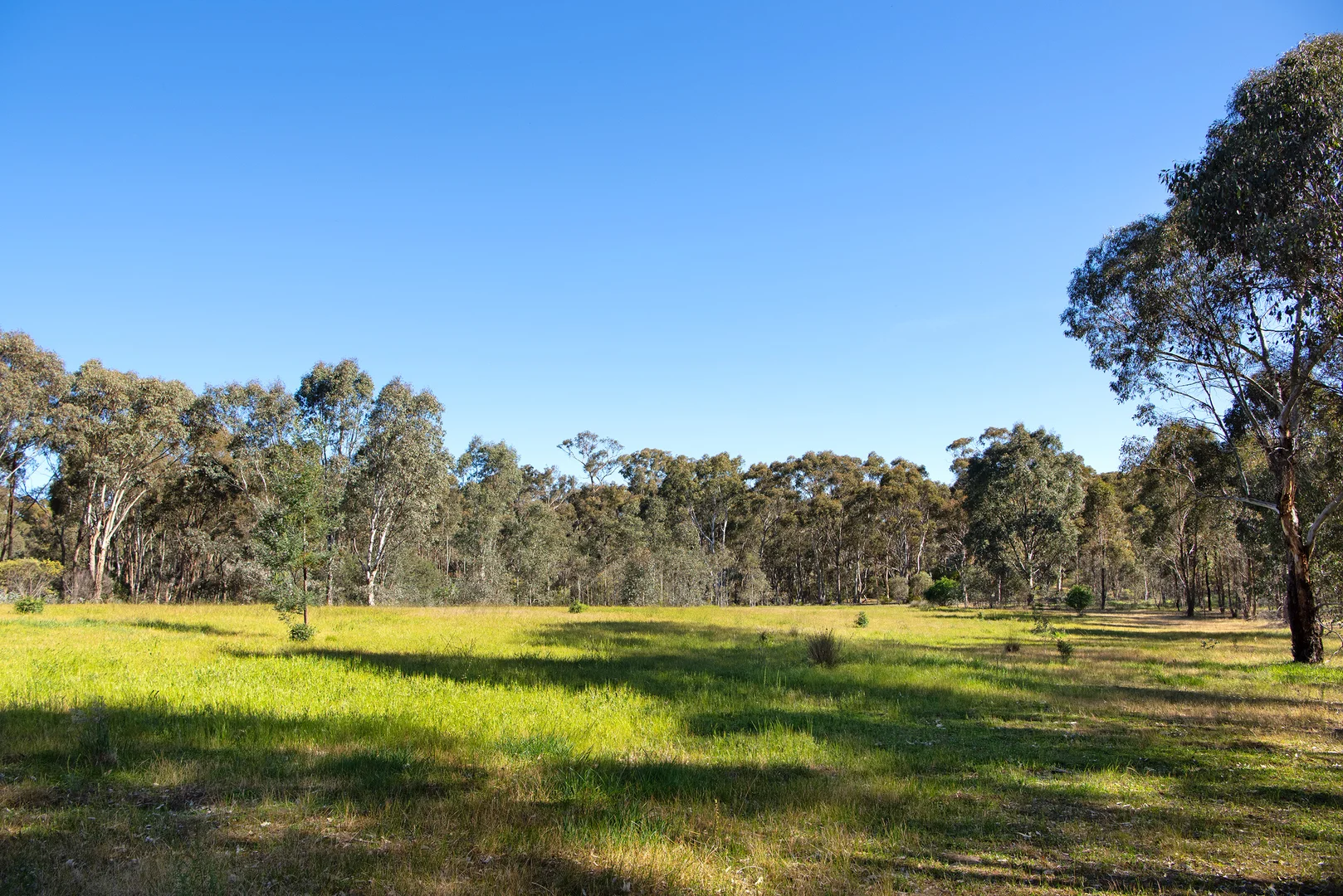 Additional image 6 of 686 Maldon-Newstead Road, Welshmans Reef VIC 3462