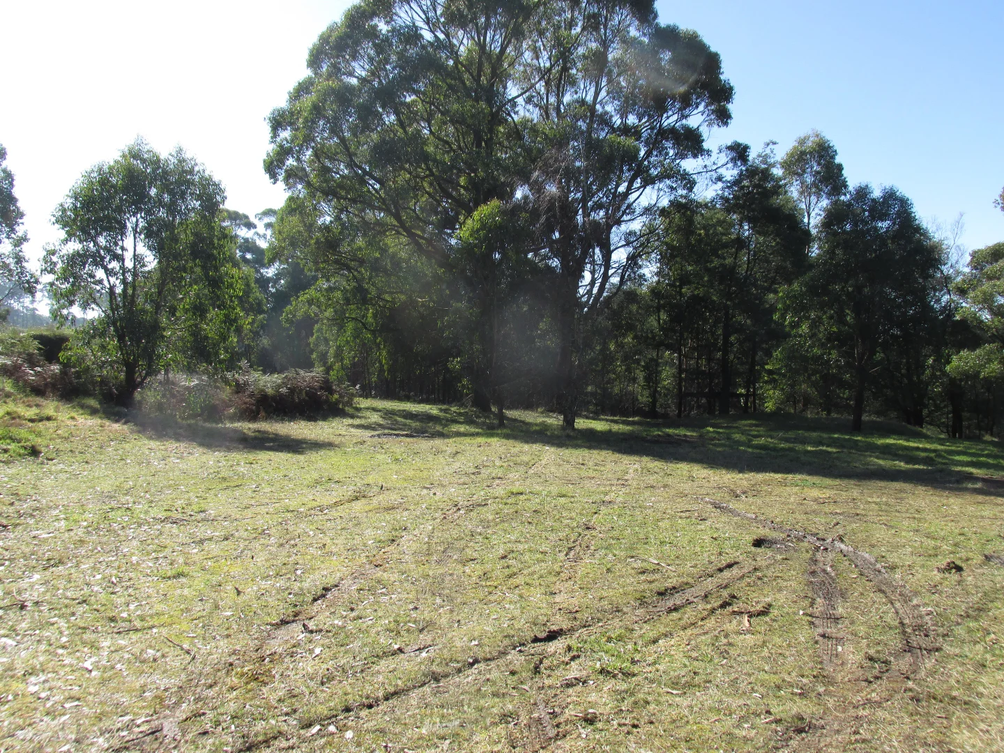 Additional image 5 of 316 Whittlesea-Kinglake Road, Kinglake Central VIC 3757