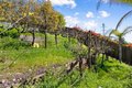 Additional image 70 of 600 Landrise Ct, Folsom, CA, 95630