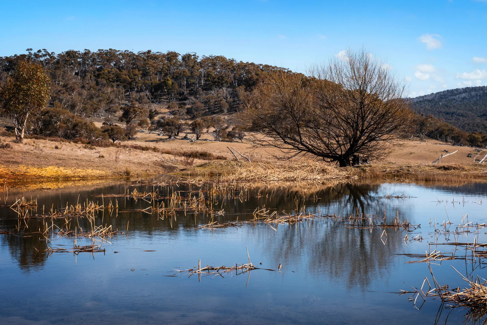 Additional image 3 of 42 Outpost Road, Yaouk NSW 2629