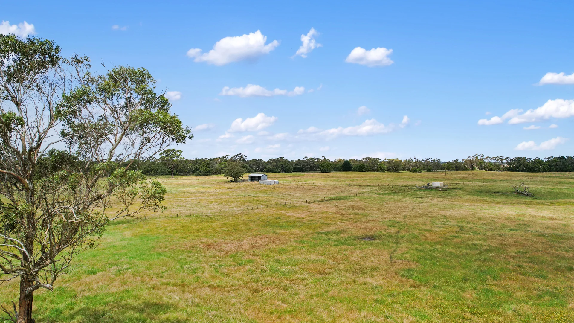 Additional image 7 of Lot 459 Riddoch Hwy, Dismal Swamp SA 5291