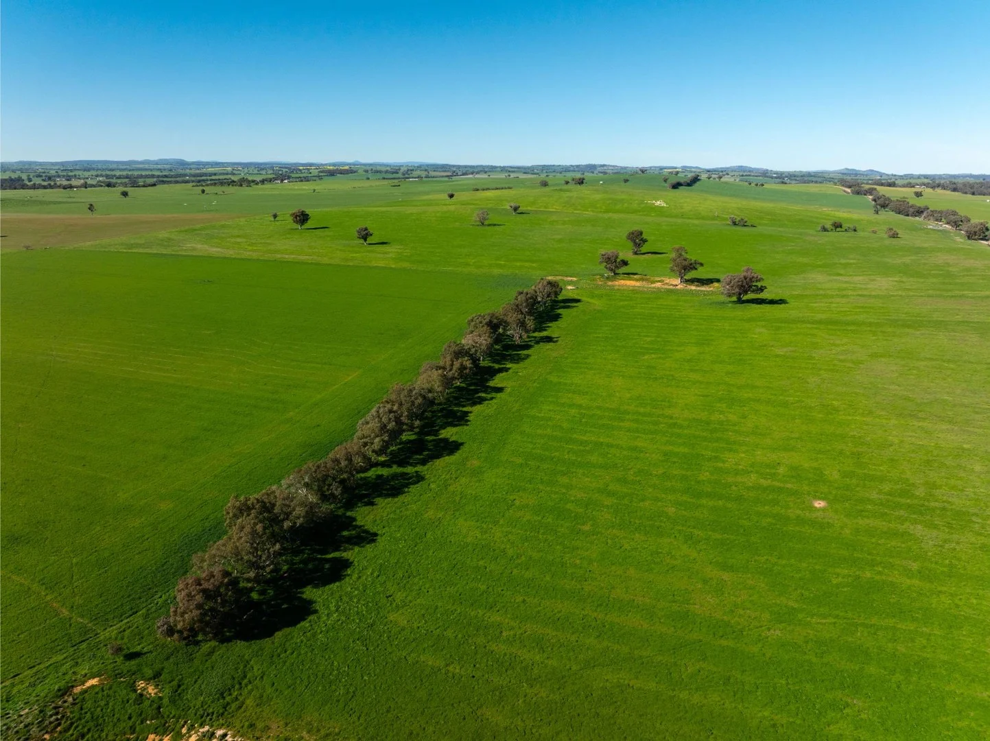 272 Bulloc Hill Road, Mangoplah NSW 2652