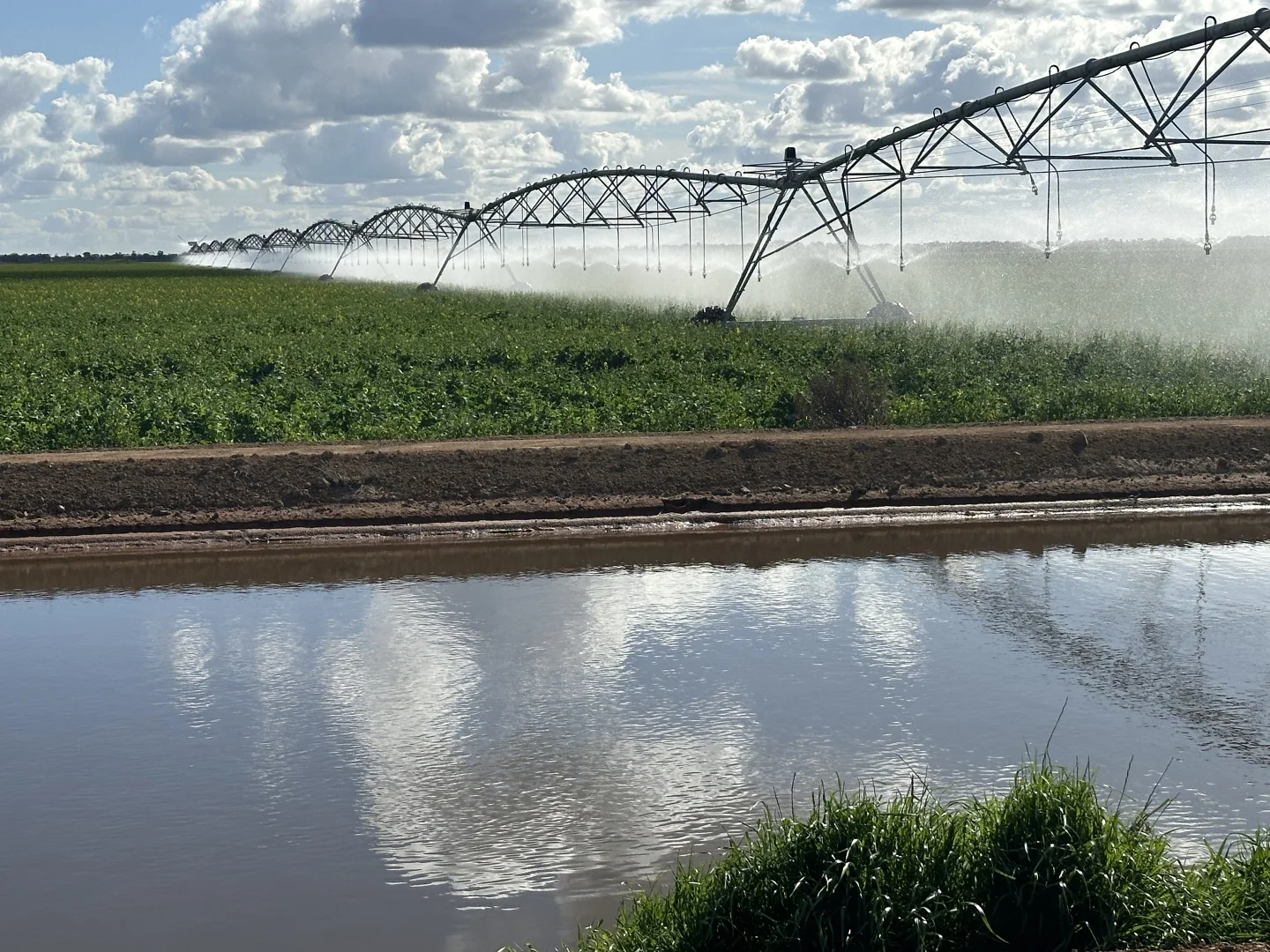 Additional image 8 of "Waringah" Mabins Well Road, Conargo NSW 2710