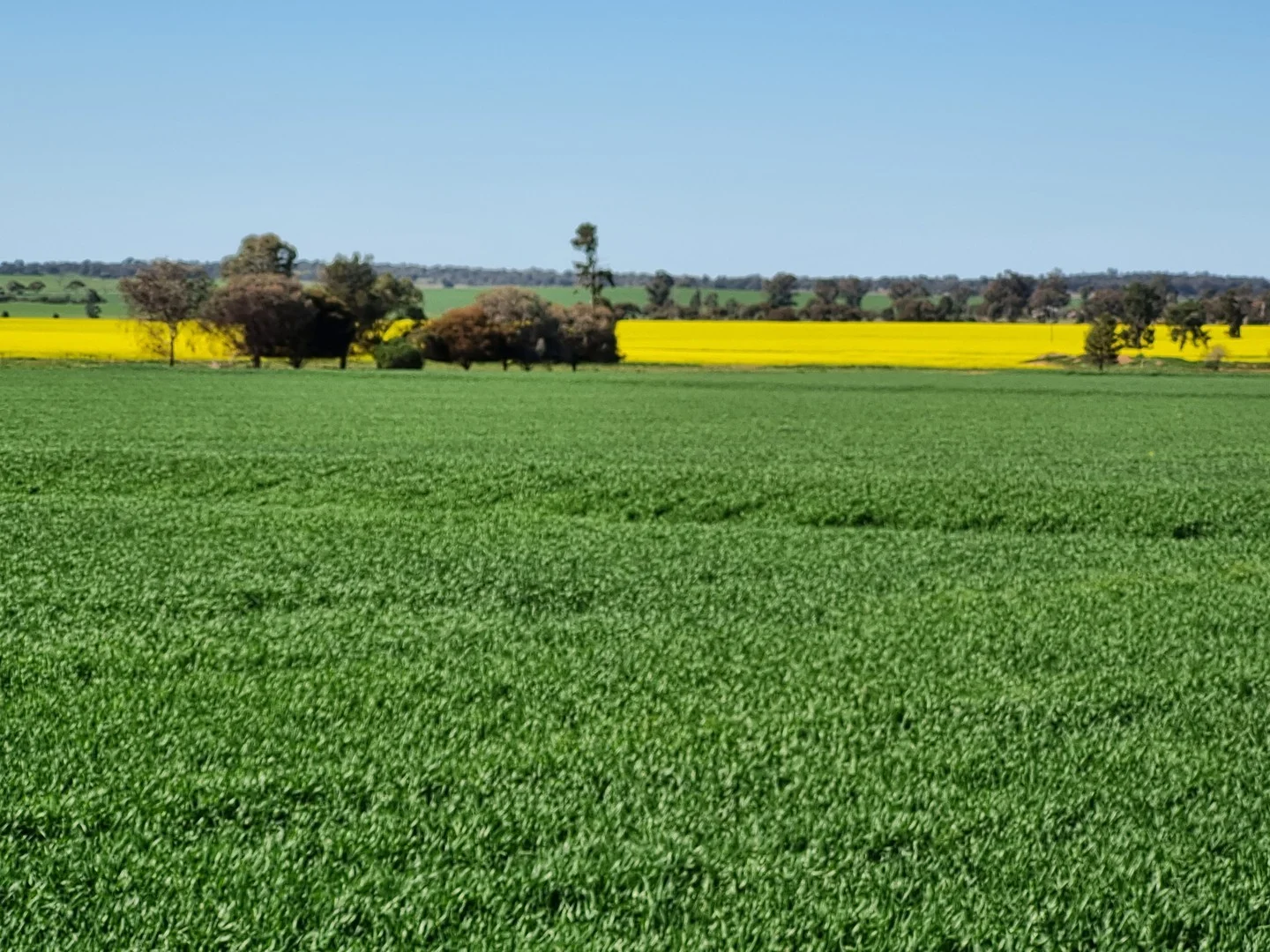 'Craignish' 847 Mirrool South Road, Beckom NSW 2665