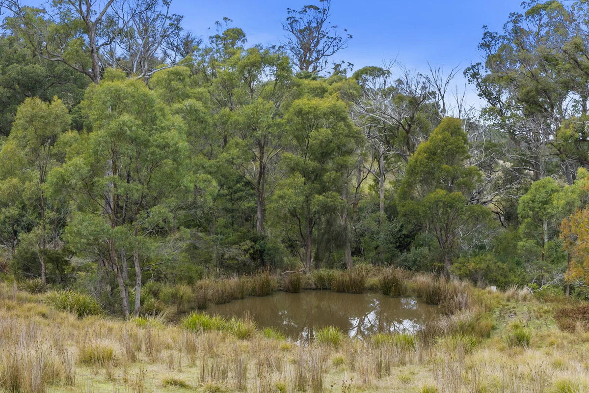 Additional image 23 of 1 & 2 Bresnehans Road, Little Swanport TAS 7190