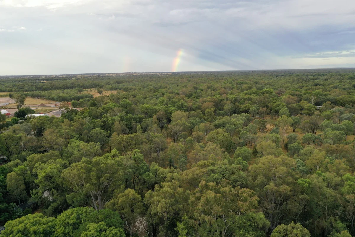 Additional image 49 of 7 Downes Street, Chinchilla QLD 4413