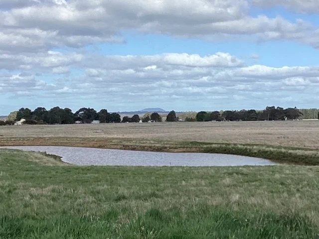 Additional image 41 of 226 Wilsons Road, Haddon VIC 3351