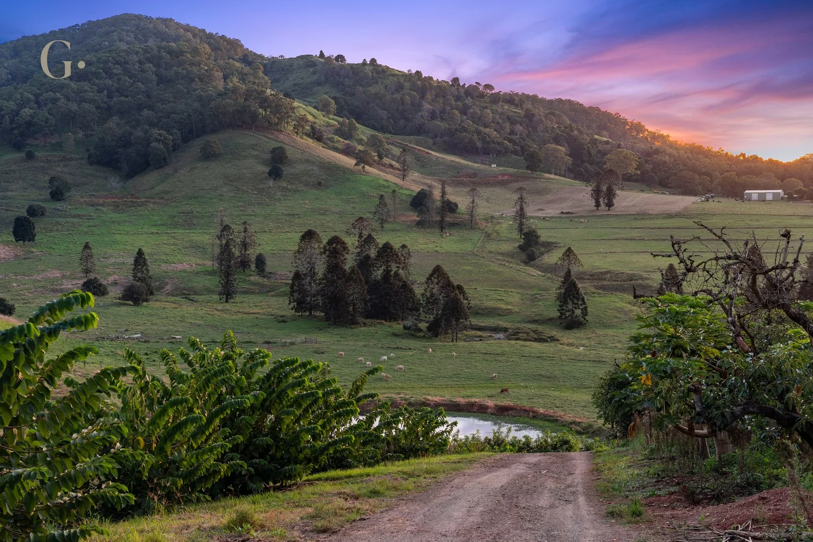 Additional image 2 of 1207 Kandanga Creek Road, Upper Kandanga QLD 4570