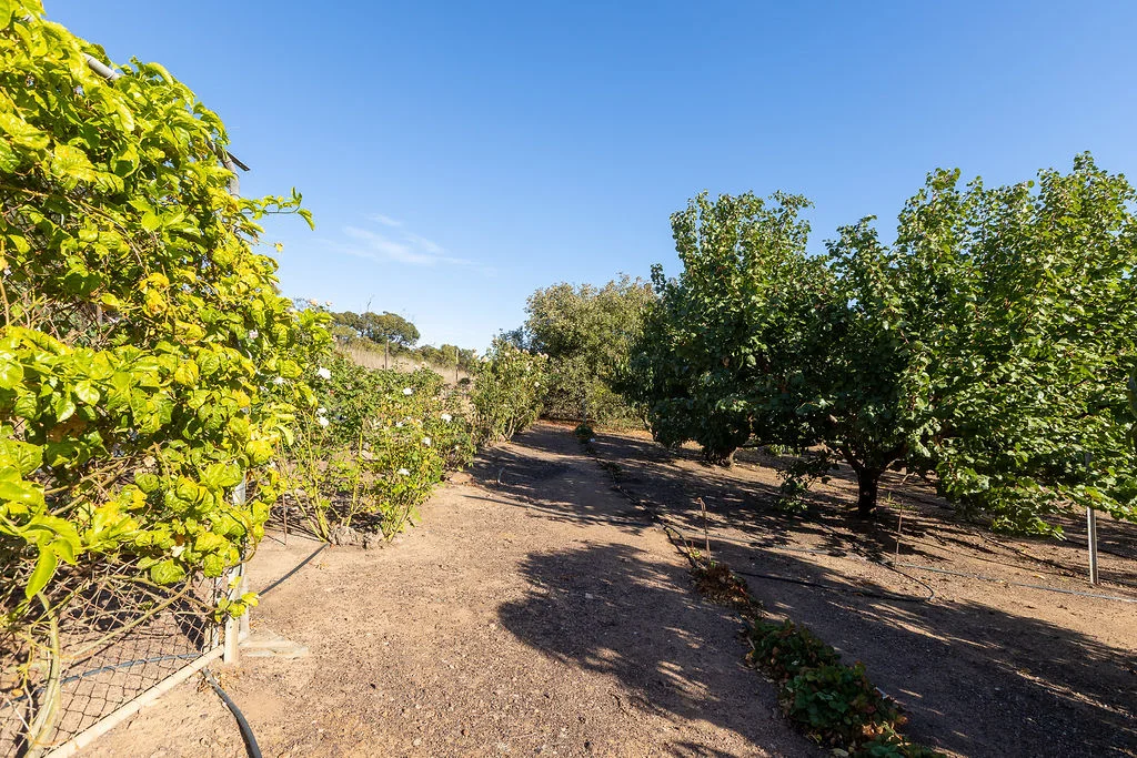 Additional image 31 of 52 Howards Road, Koppio SA 5607