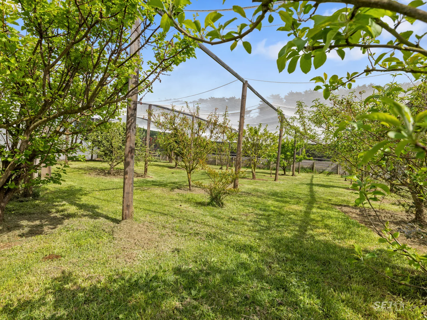Additional image 27 of 20 Leongatha North Road, Leongatha North VIC 3953