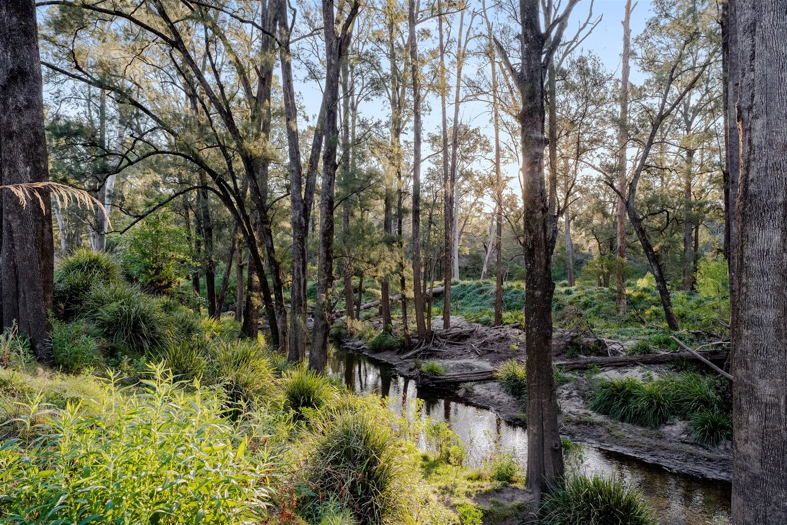 Additional image 36 of Belanglo NSW 2577