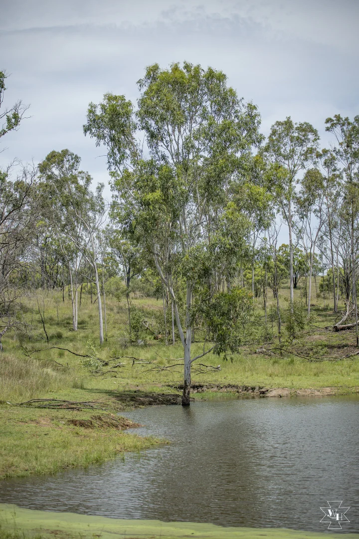 Additional image 8 of Gayndah QLD 4625